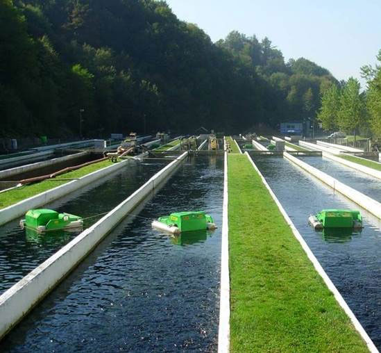 fish-farming